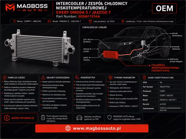 Радиатор интеркулера (охладитель наддувочного воздуха) CHERY OMODA 5 JAECOO 7 OE 302001737AA - dodat