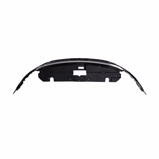 1497 (4).webp